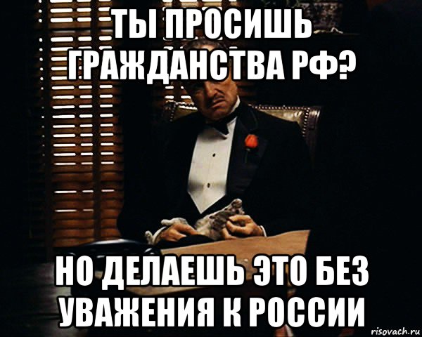 ты просишь гражданства рф? но делаешь это без уважения к россии, Мем Дон Вито Корлеоне