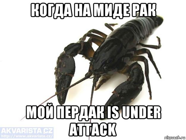 когда на миде рак мой пердак is under attack, Мем Дота