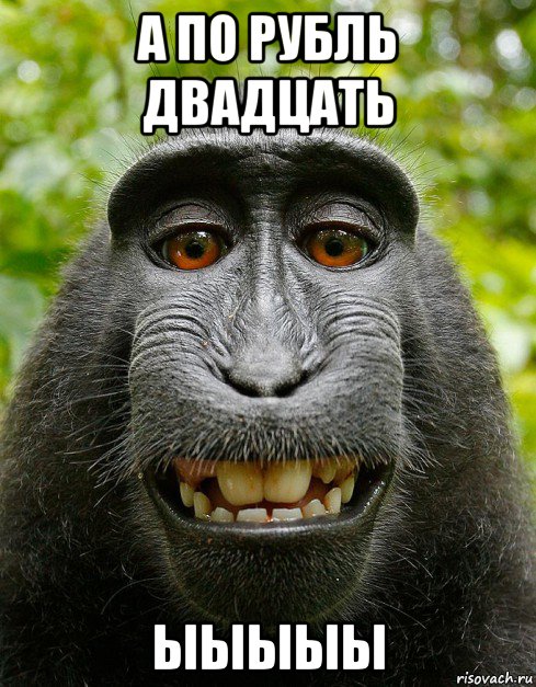 а по рубль двадцать ыыыыы, Мем  Довольная обезьяна