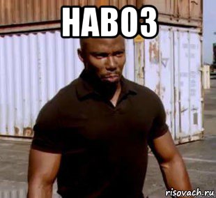 навоз , Мем ДРУГ ЗЛОГО НЕГРА