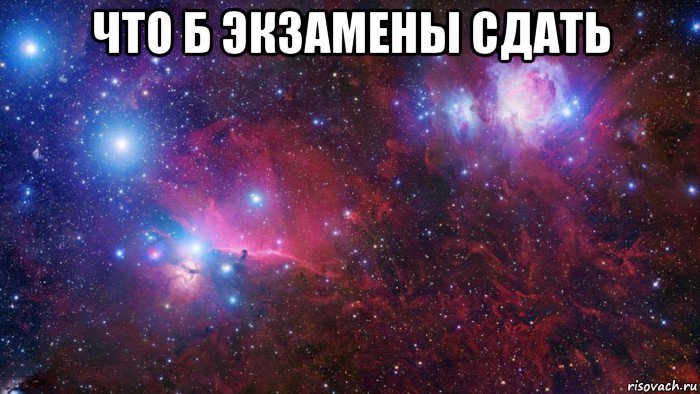 что б экзамены сдать , Мем  Дружить с тобой офигенно