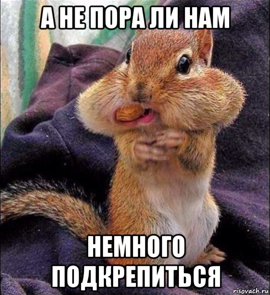 а не пора ли нам немного подкрепиться
