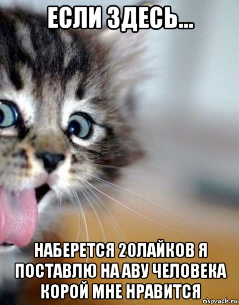 если здесь... наберется 20лайков я поставлю на аву человека корой мне нравится