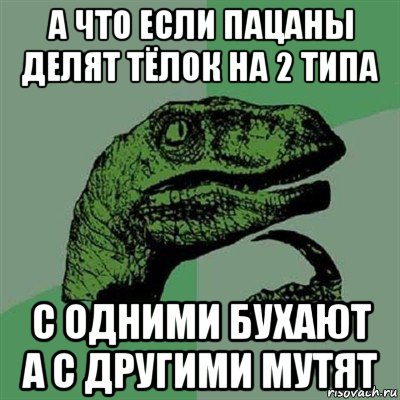 а что если пацаны делят тёлок на 2 типа с одними бухают а с другими мутят, Мем Филосораптор