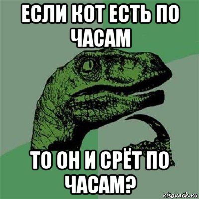 если кот есть по часам то он и срёт по часам?, Мем Филосораптор