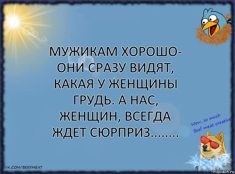 Мужикам хорошо- они сразу видят, какая у женщины грудь. А нас, женщин, всегда ждет сюрприз........, Комикс ФОН