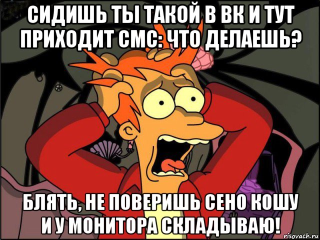 сидишь ты такой в вк и тут приходит смс: что делаешь? блять, не поверишь сено кошу и у монитора складываю!, Мем Фрай в панике