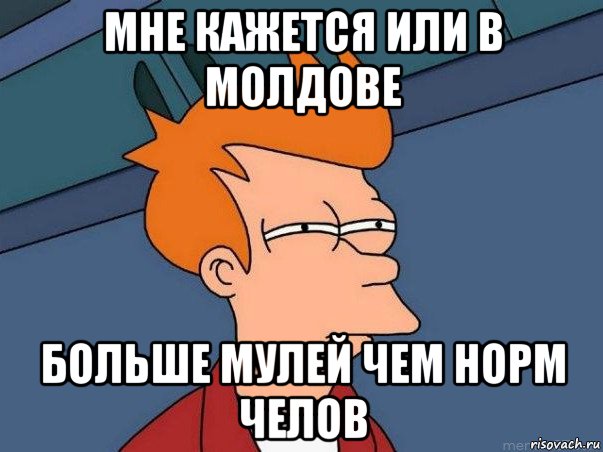 мне кажется или в молдове больше мулей чем норм челов, Мем  Фрай (мне кажется или)