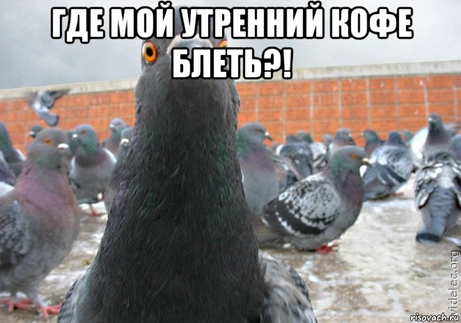 где мой утренний кофе блеть?! 