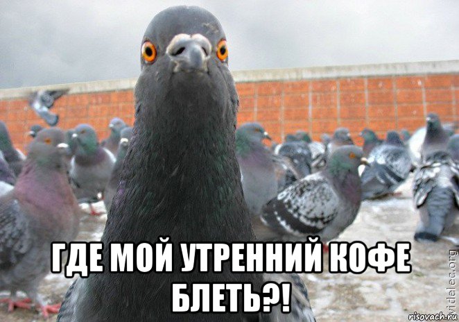  где мой утренний кофе блеть?!