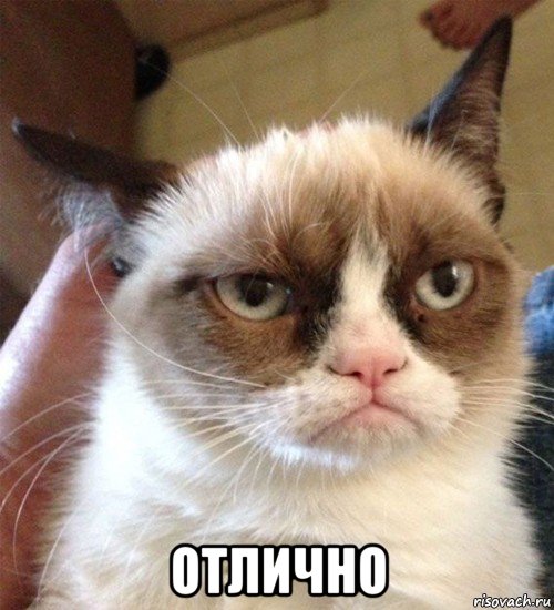  отлично