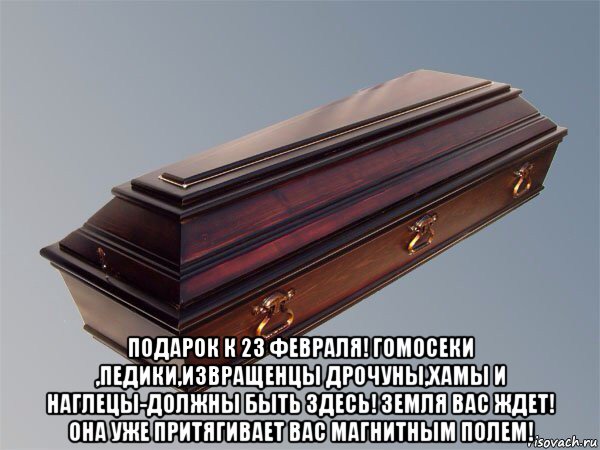  подарок к 23 февраля! гомосеки ,педики,извращенцы дрочуны,хамы и наглецы-должны быть здесь! земля вас ждет! она уже притягивает вас магнитным полем!