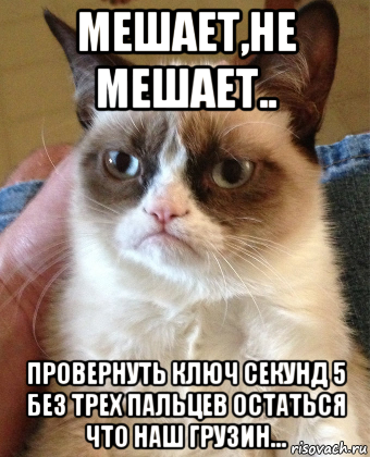 мешает,не мешает.. провернуть ключ секунд 5 без трех пальцев остаться что наш грузин..., Мем Grumpy Cat small