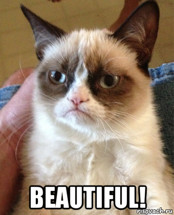  beautiful!, Мем Grumpy Cat small