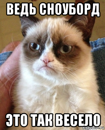 ведь сноуборд это так весело, Мем Grumpy Cat small