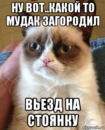 ну вот..какой то мудак загородил вьезд на стоянку, Мем Grumpy Cat small