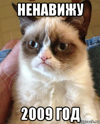 ненавижу 2009 год, Мем Grumpy Cat small