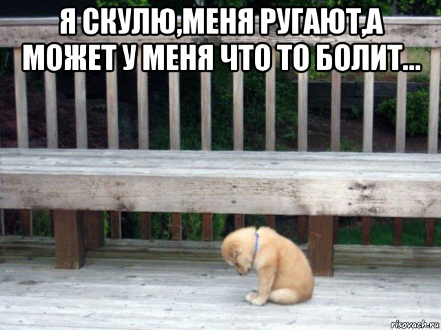 я скулю,меня ругают,а может у меня что то болит... 