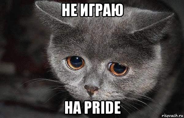 не играю на pride, Мем  Грустный кот