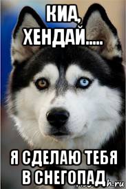 киа, хендай..... я сделаю тебя в снегопад
