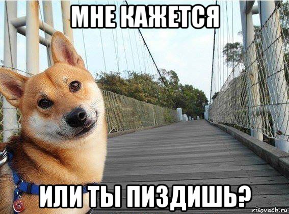 мне кажется или ты пиздишь?