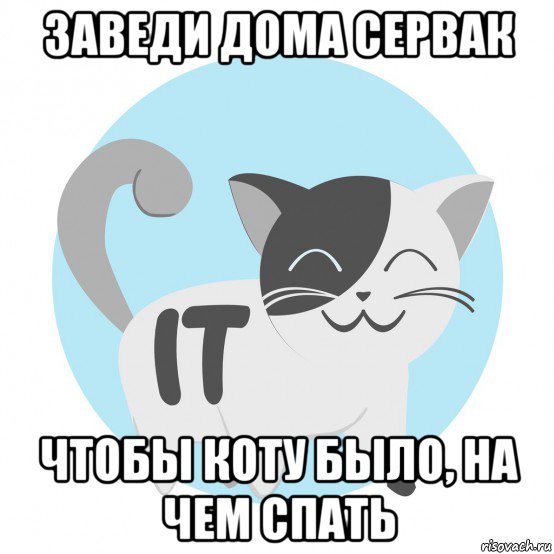 заведи дома сервак чтобы коту было, на чем спать