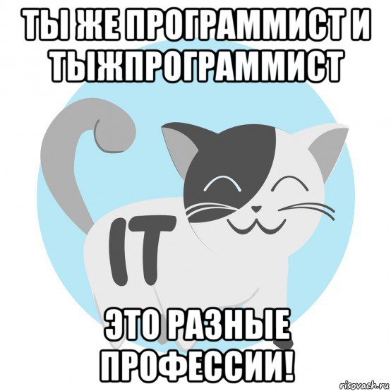 ты же программист и тыжпрограммист это разные профессии!
