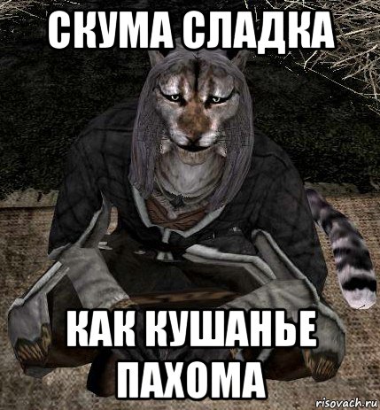 скума сладка как кушанье пахома, Мем Каджит