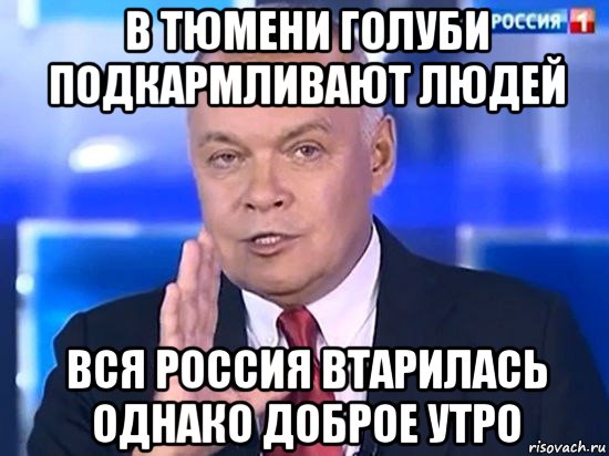 в тюмени голуби подкармливают людей вся россия втарилась однако доброе утро, Мем Киселёв 2014