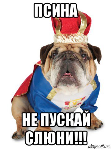 псина не пускай слюни!!!