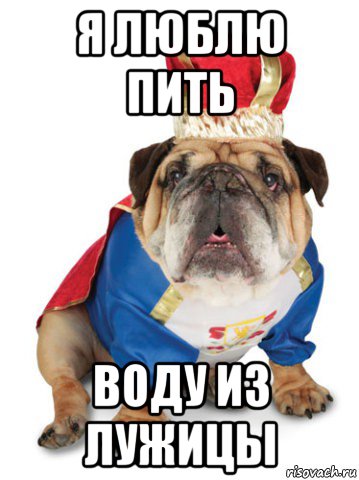 я люблю пить воду из лужицы