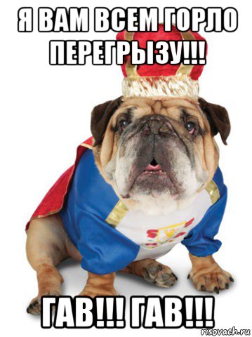 я вам всем горло перегрызу!!! гав!!! гав!!!