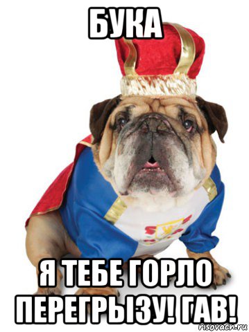 бука я тебе горло перегрызу! гав!