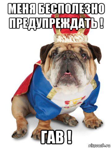 меня бесполезно предупреждать ! гав !, Мем Король Пес