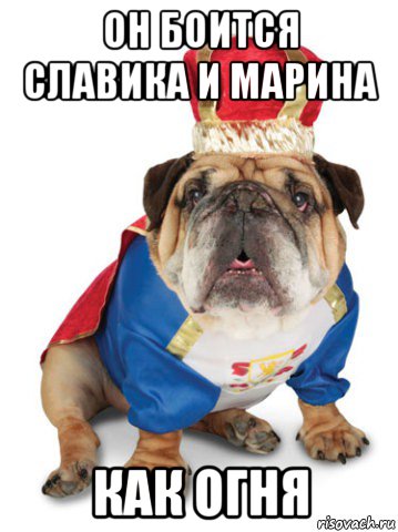 он боится славика и марина как огня