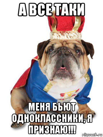 а все таки меня бьют одноклассники, я признаю!!!