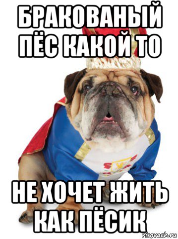 бракованый пёс какой то не хочет жить как пёсик