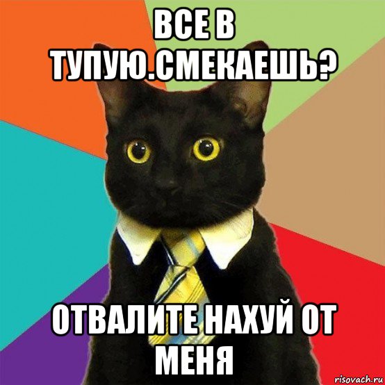 все в тупую.смекаешь? отвалите нахуй от меня, Мем  Кошечка