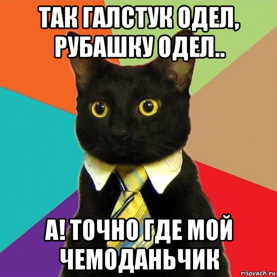 так галстук одел, рубашку одел.. а! точно где мой чемоданьчик, Мем  Кошечка