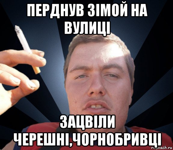 перднув зімой на вулиці зацвіли черешні,чорнобривці