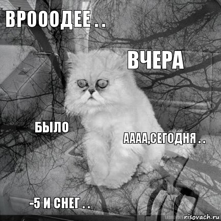 Врооодее . . аааа,сегодня . . Вчера -5 и снег . . было     , Комикс  кот безысходность