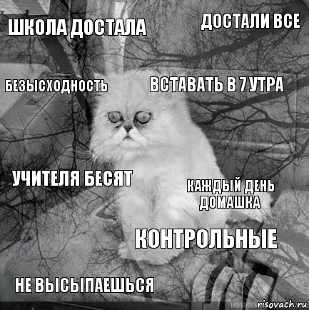 школа достала каждый день домашка вставать в 7 утра не высыпаешься учителя бесят достали все контрольные безысходность  , Комикс  кот безысходность