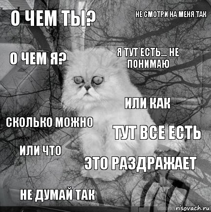 О чем ты? тут все есть я тут есть... не понимаю не думай так сколько можно не смотри на меня так это раздражает о чем я? или что или как, Комикс  кот безысходность