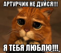 артурчик не дуйся!!! я тебя люблю!!!, Мем Кот из Шрека