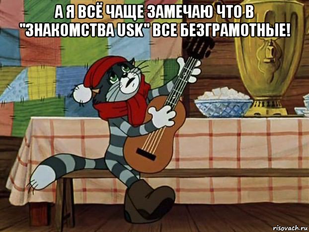 а я всё чаще замечаю что в "знакомства usk" все безграмотные! , Мем Кот Матроскин с гитарой