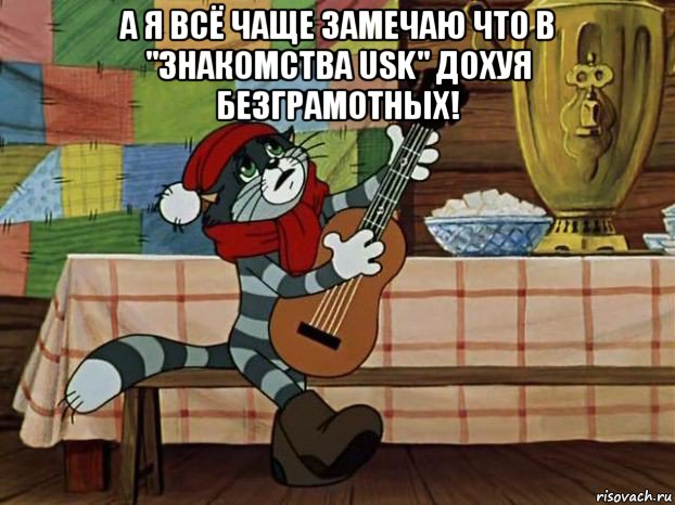 а я всё чаще замечаю что в "знакомства usk" дохуя безграмотных! , Мем Кот Матроскин с гитарой