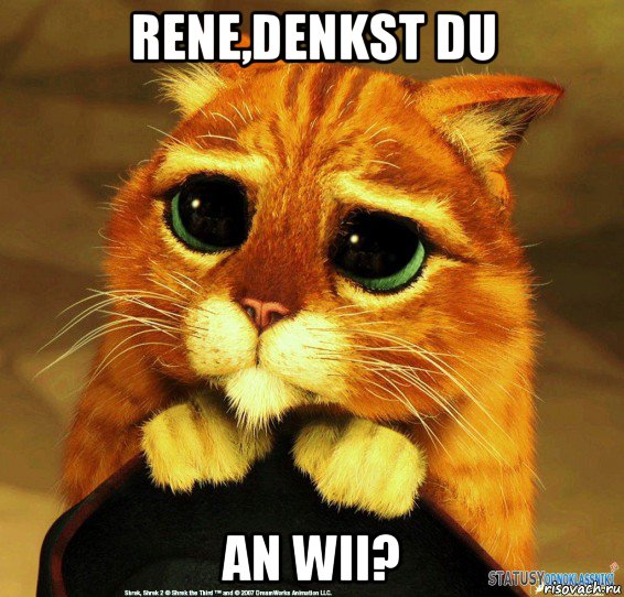 rene,denkst du an wii?, Мем Котик из Шрека