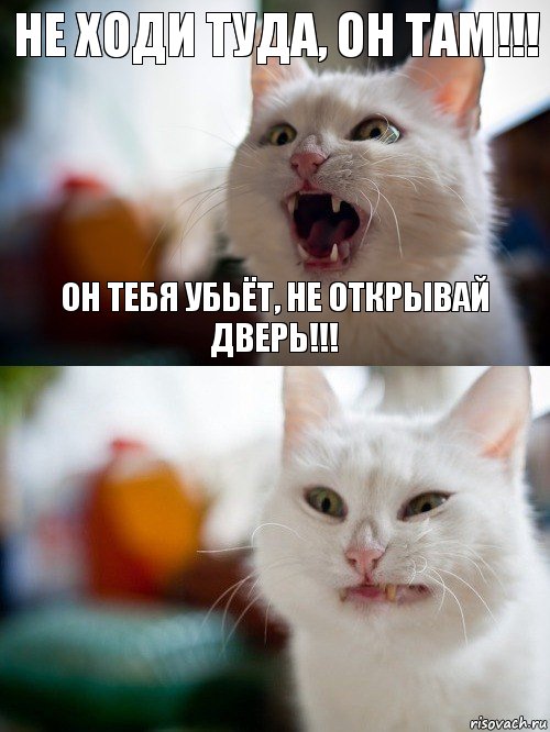 Не ходи туда, он там!!! Он тебя убьёт, не открывай дверь!!!, Комикс   Котэ предупреждал