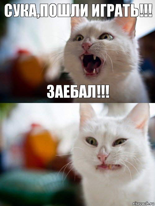 СУКА,ПОШЛИ ИГРАТЬ!!! ЗАЕБАЛ!!!, Комикс   Котэ предупреждал