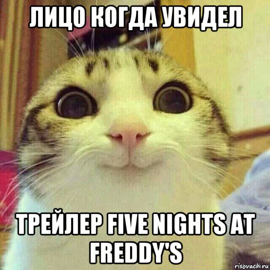 лицо когда увидел трейлер five nights at freddy's, Мем       Котяка-улыбака